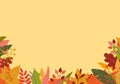 Autumn background with colorful leaves. Fall season banner or border with foliage. Template for thanksgiving poster, sale or promo Royalty Free Stock Photo